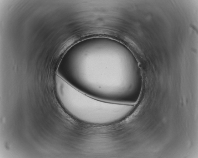 X0000099430977200805090723