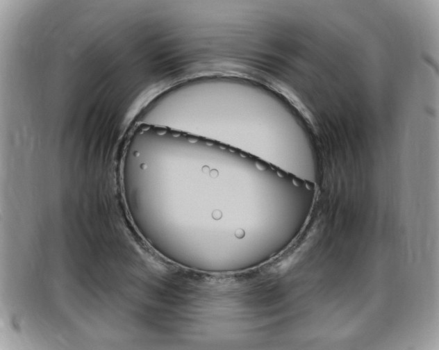 X0000099430978200805090723