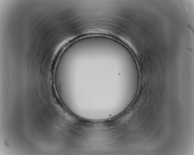 X0000099430979200805090723