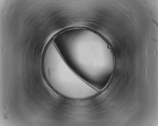X0000099430980200805090723