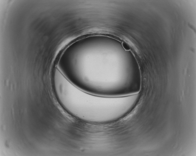 X0000099430981200805090723