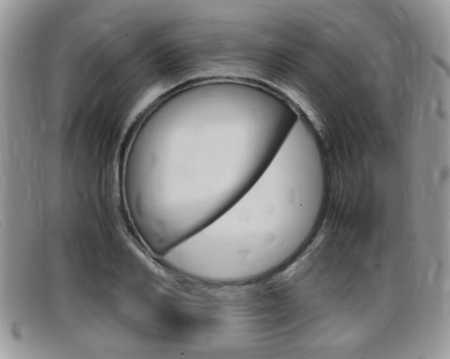 X0000099430982200805090723