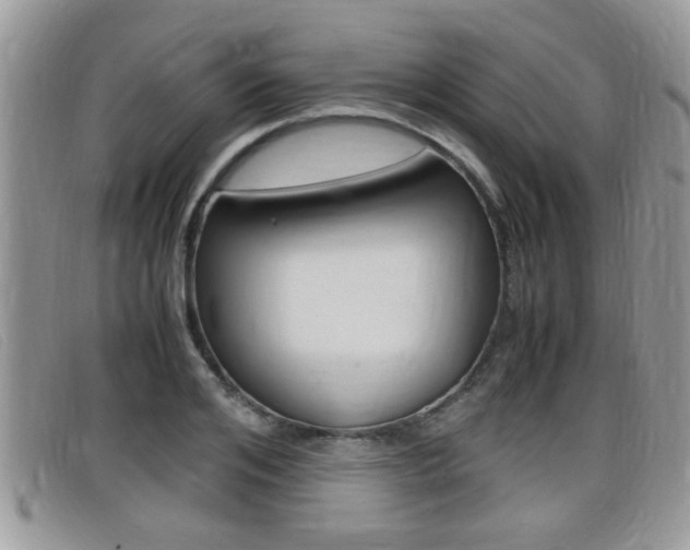 X0000099430984200805090723