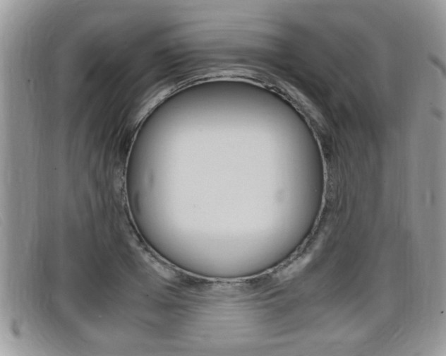 X0000099430985200805090723