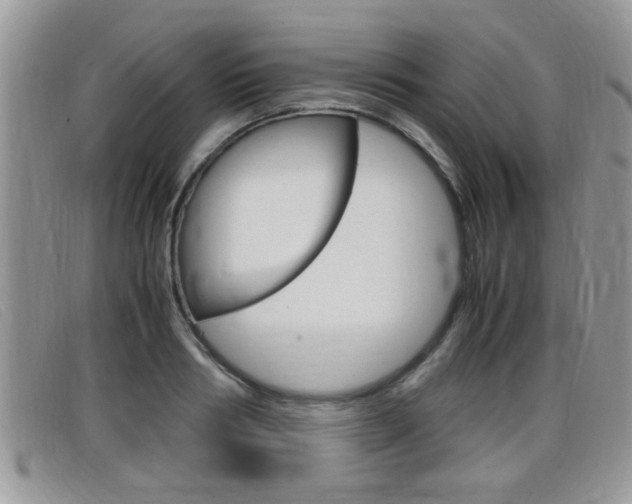 X0000099430986200805090723