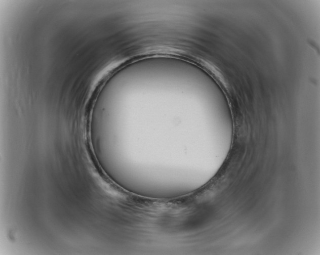 X0000099430987200805090723
