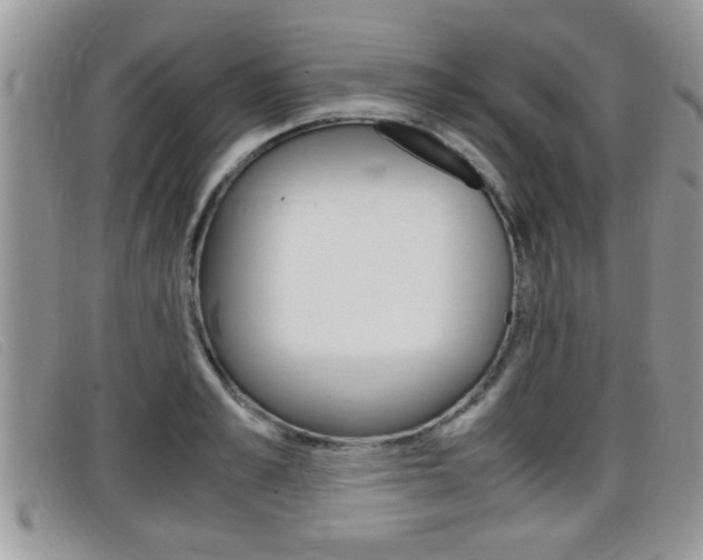 X0000099430989200805090723