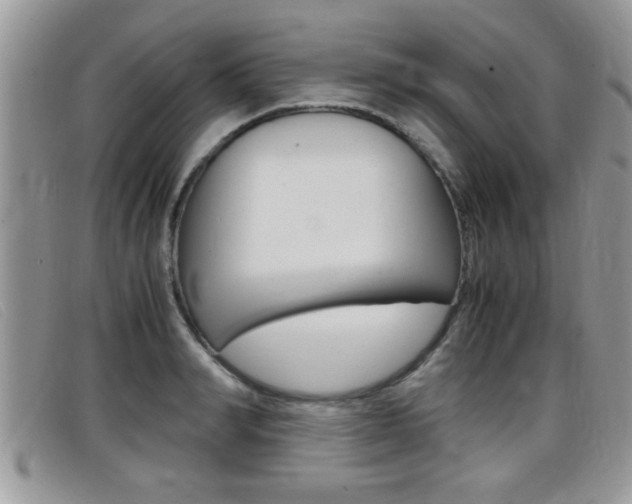 X0000099430990200805090723