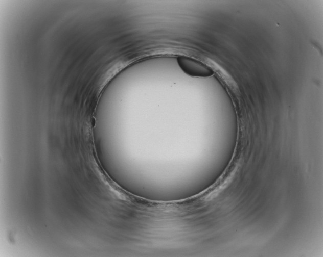 X0000099430993200805090723