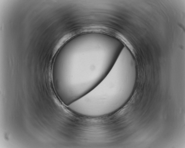 X0000099430994200805090723