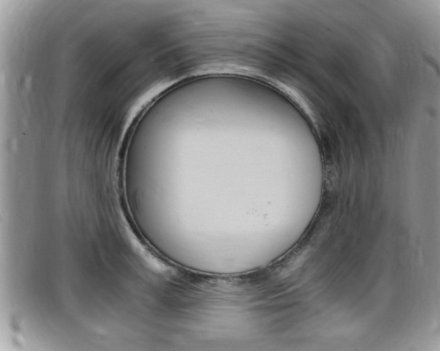 X0000099430995200805090723