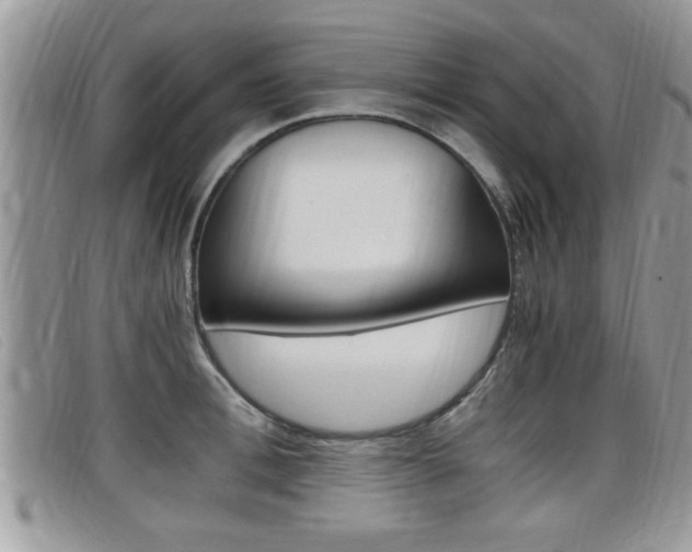 X0000099430996200805090723