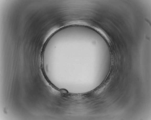 X0000099430999200805090723