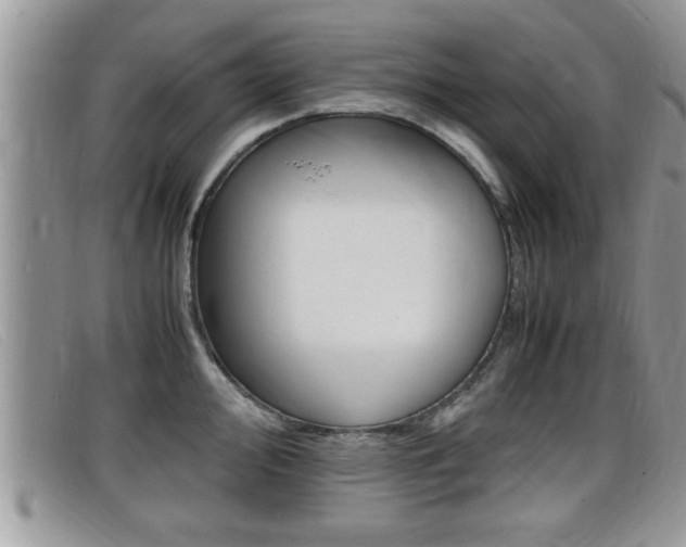 X0000099431000200805090723