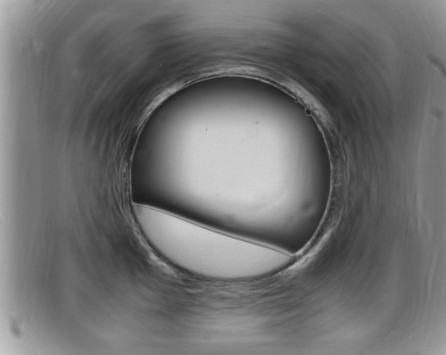 X0000099431001200805090723