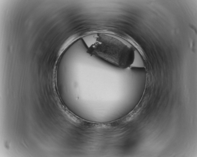 X0000099431002200805090723