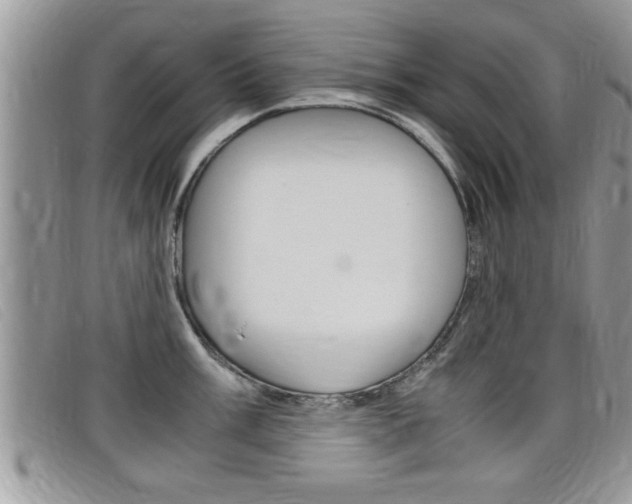 X0000099431003200805090723