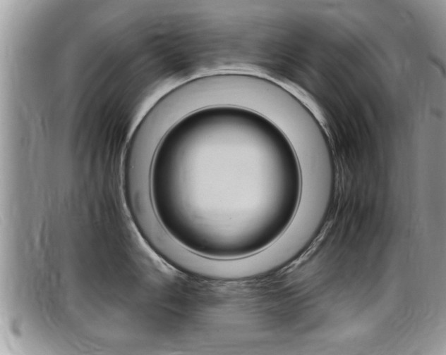 X0000099431006200805090723
