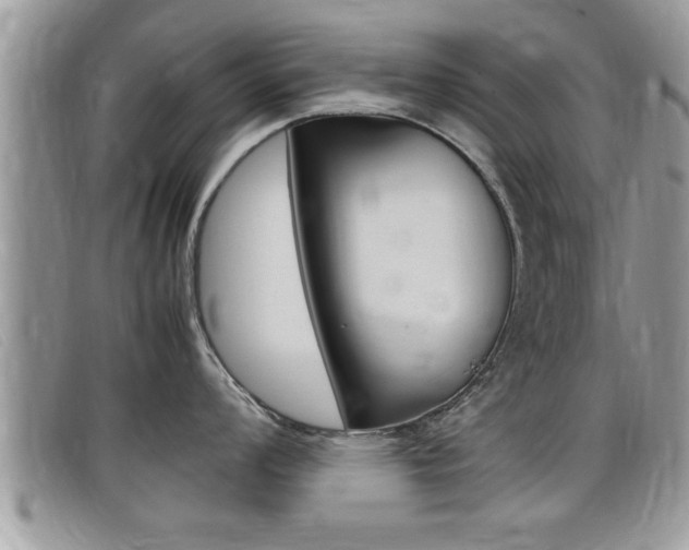 X0000099431008200805090723