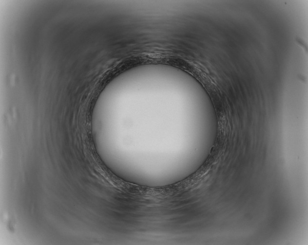 X0000099431009200805090722