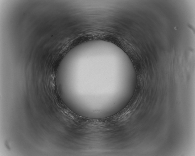 X0000099431010200805090722