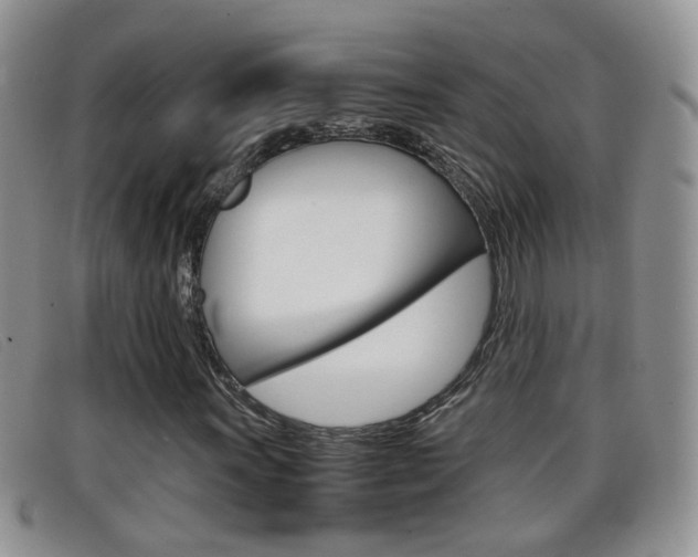 X0000099431011200805090722