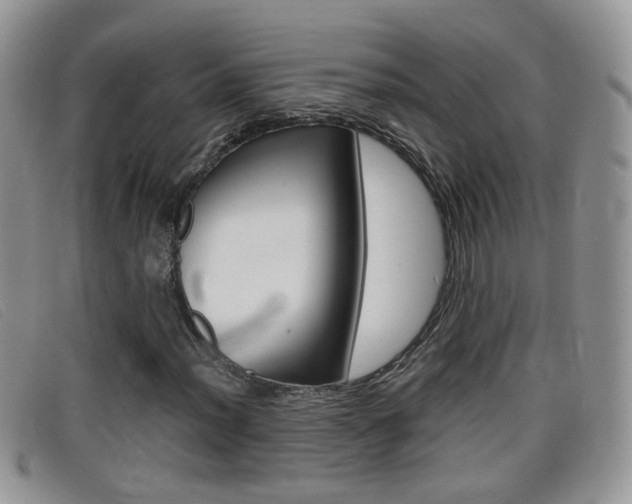 X0000099431012200805090722