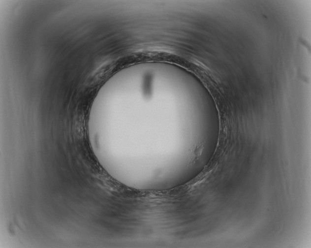 X0000099431014200805090722