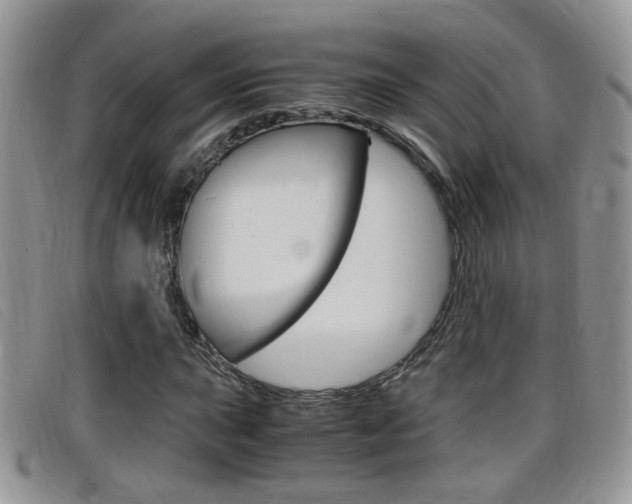 X0000099431015200805090722