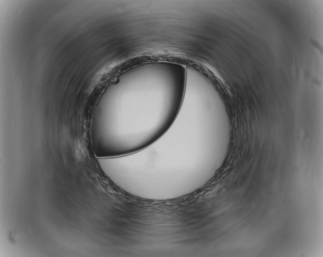 X0000099431016200805090722