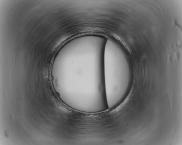 X0000099431017200805090722