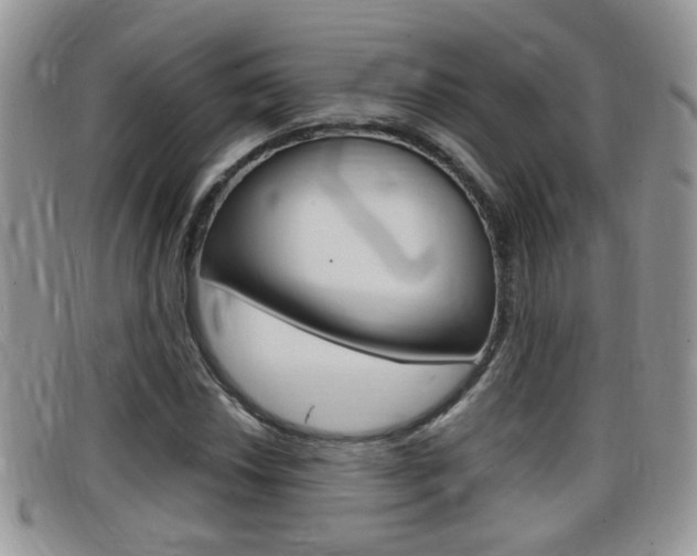 X0000099431018200805090722