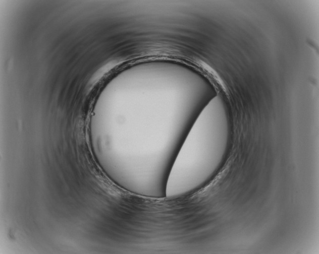X0000099431019200805090722