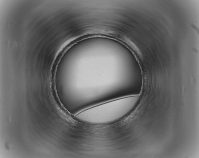 X0000099431020200805090722
