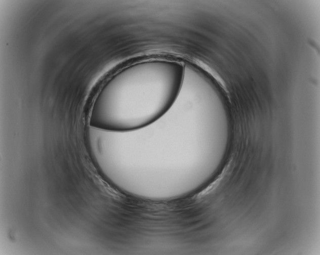 X0000099431021200805090722
