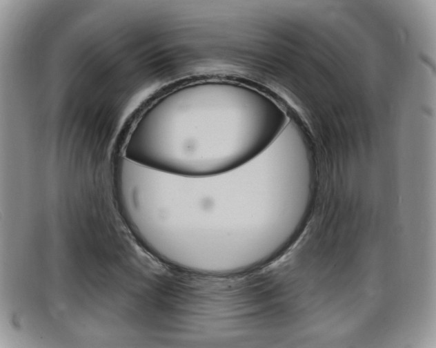 X0000099431022200805090722