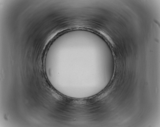X0000099431023200805090722