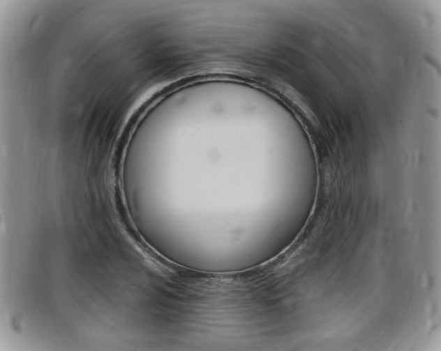 X0000099431024200805090722