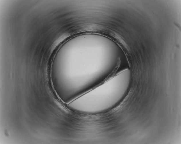X0000099431026200805090722