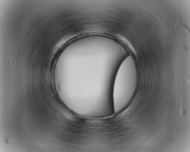 X0000099431027200805090722