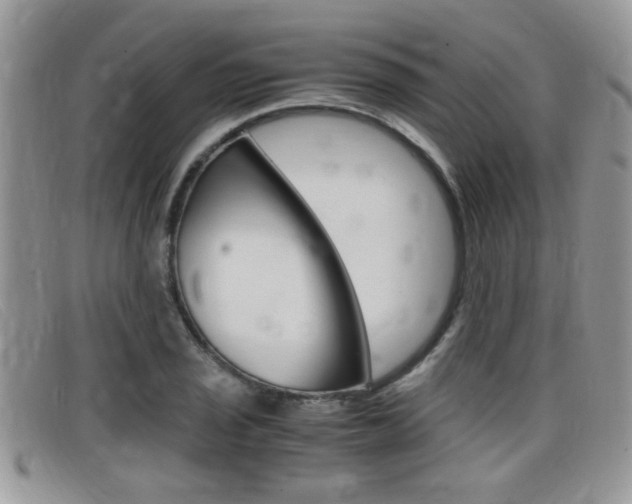 X0000099431029200805090722