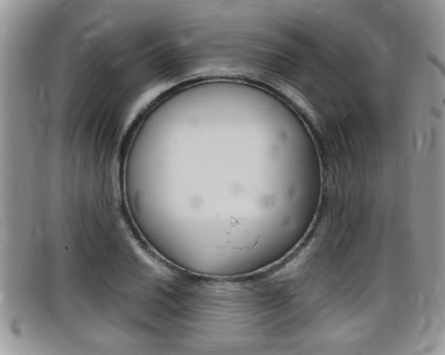 X0000099431030200805090722