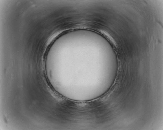 X0000099431031200805090722