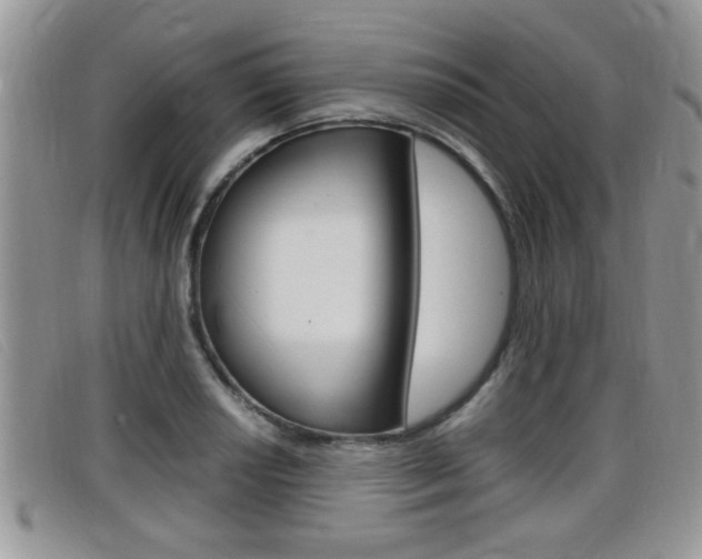 X0000099431034200805090722