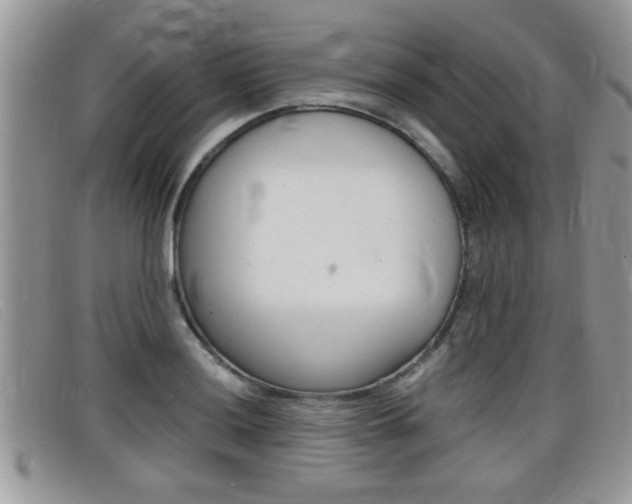 X0000099431036200805090722