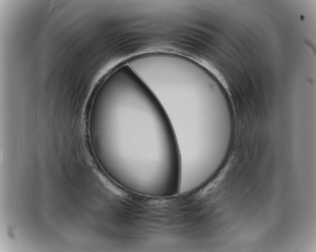 X0000099431037200805090722