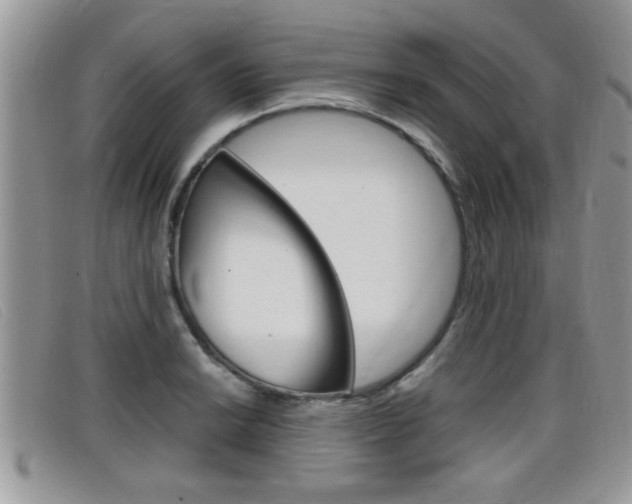 X0000099431038200805090722