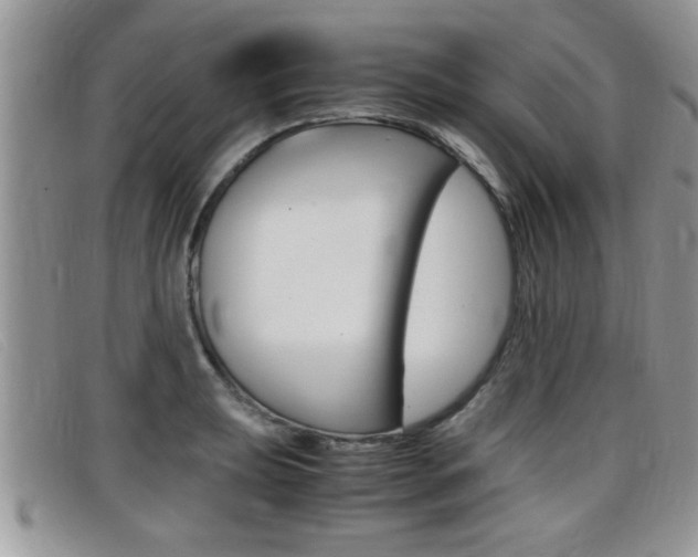 X0000099431039200805090722