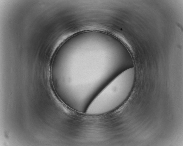 X0000099431040200805090722