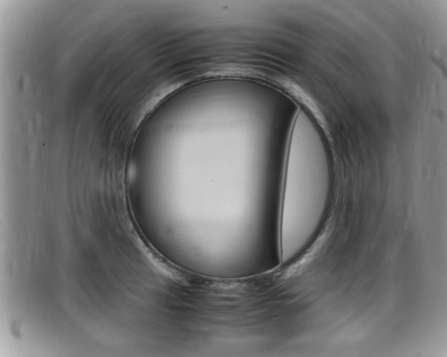 X0000099431041200805090722